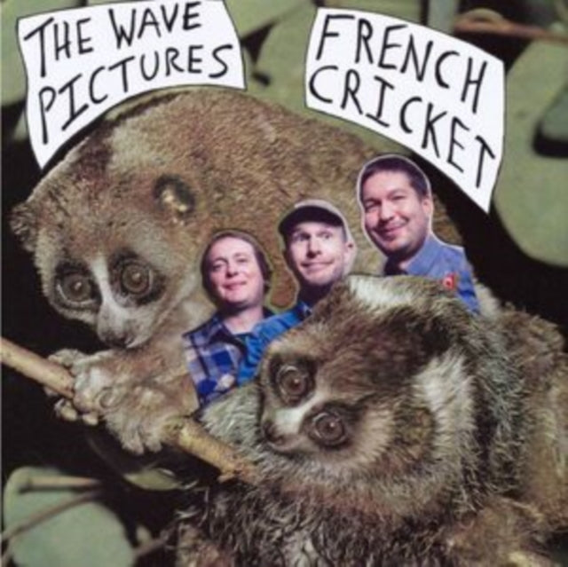 Wave Pictures - French Cricket (2X7inch) - 7 Inch Vinyl Record