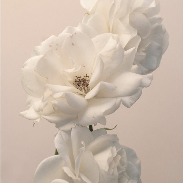 Imminence - Turn The Light On: Acoustic Reimagination V2  Music CD