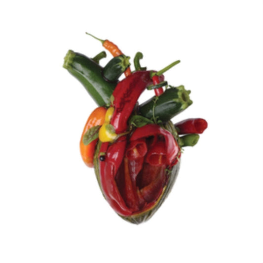 Carcass - Torn Arteries Music CD