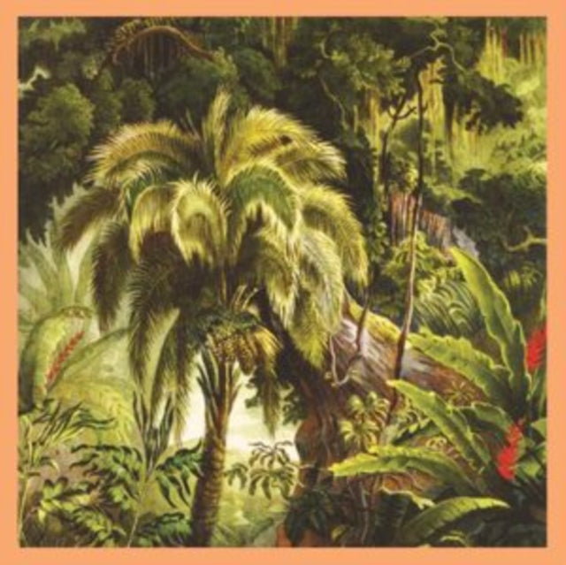 La Foret (Sunset Swirl LP Vinyl) Vinyl Record