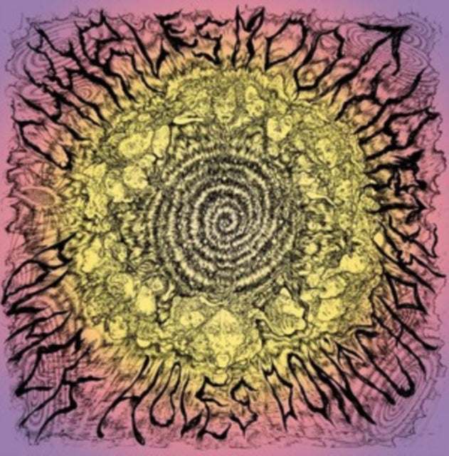 Charles Moothart - Black Holes Don't Choke - LP Vinyl Record