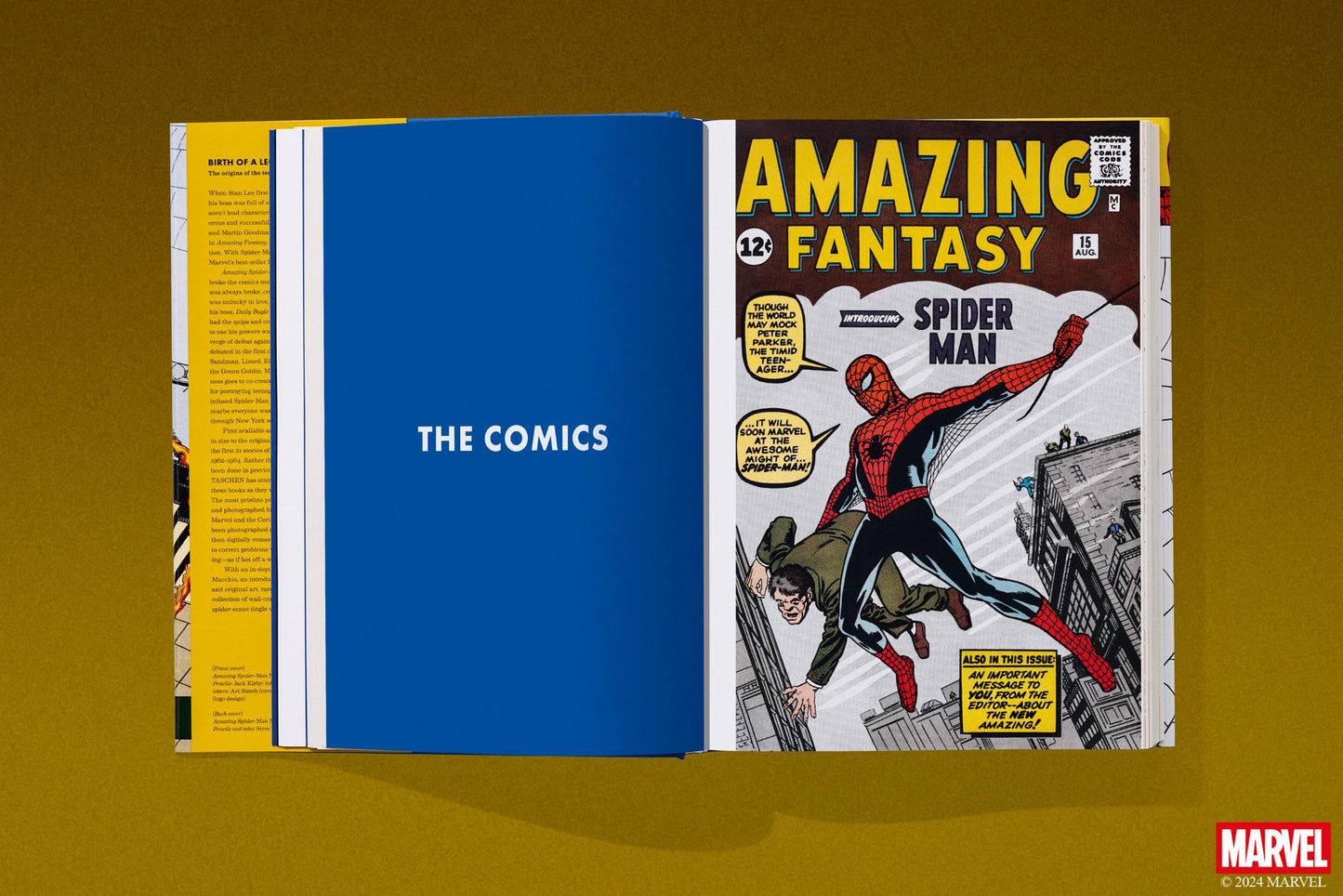 Marvel Comics Library. Spider-Man. 1962–1964 (English) Book