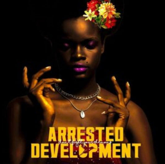 Arrested Development - Don't Fight Your Demons (2LP) Vinyl Record