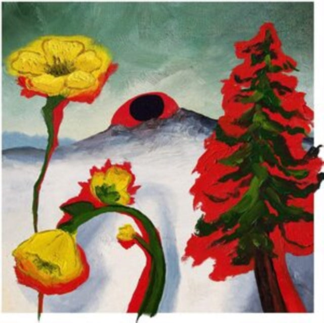 Woods - Strange To Explain - LP Vinyl Record