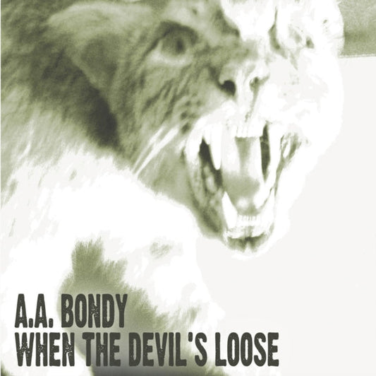 A.A. Bondy - When The Devil's Loose  Music CD