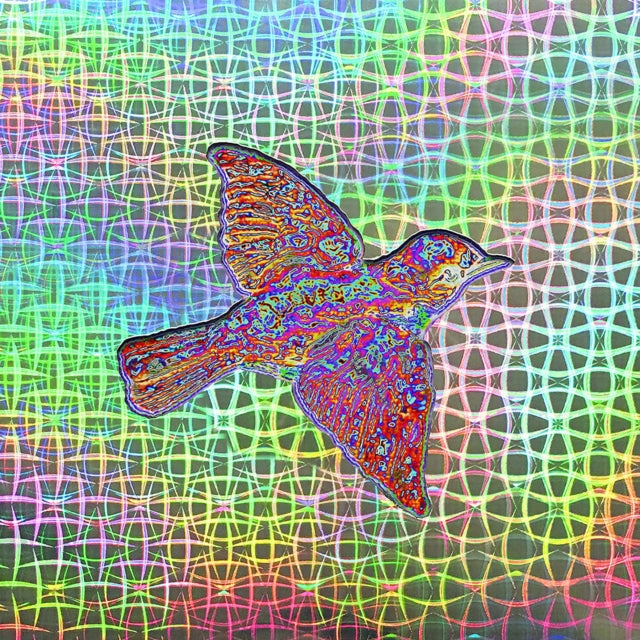 Widespread Panic - Til The Medicine Takes (2LP/140G/3D Lenticular Cover) Vinyl Record