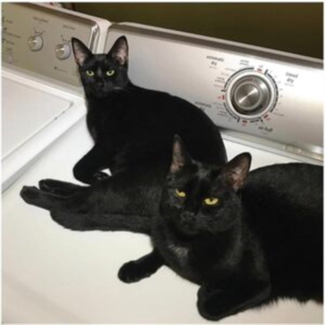 Sam & John Mcentire Prekop - Sons Of (2LP) Vinyl Record