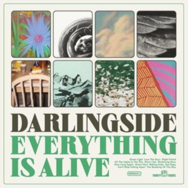 Darlingside - Everything Is Alive - LP Vinyl Record