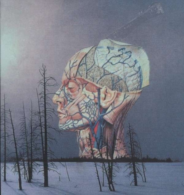 Low - Songs For A Dead Pilot - LP Vinyl Record