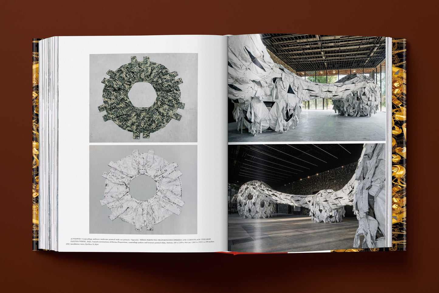 Ai Weiwei. Updated Edition (German, French, English) Book
