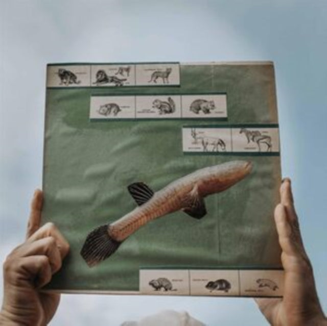 Cotton Jones - River Strumming (180G) - LP Vinyl Record