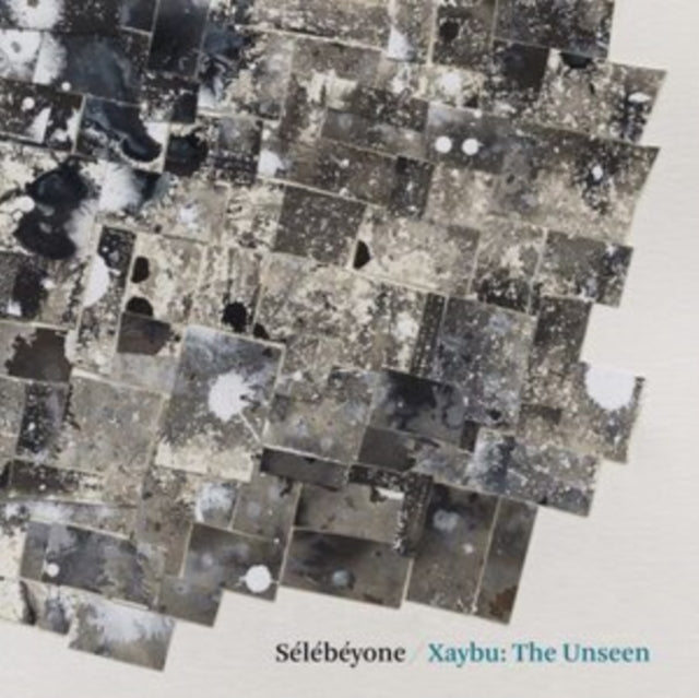 Xaybu: The Unseen Vinyl Record