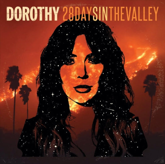28 Days In The Valley Music CD