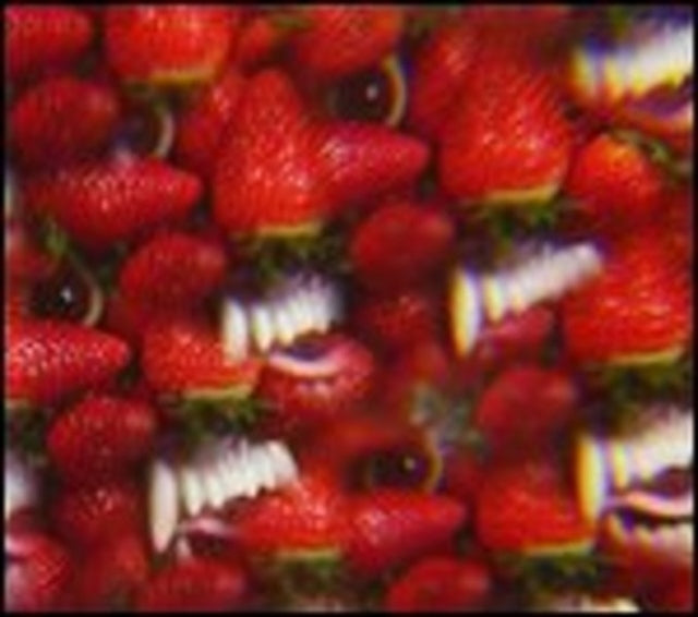 Oh Sees - Floating Coffin - LP Vinyl Record