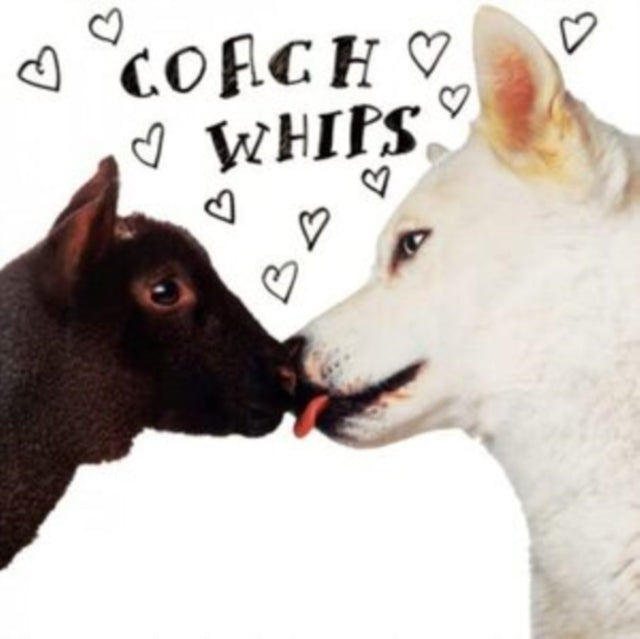 Coachwhips - Bangers Vs. Fuckers - LP Vinyl Record