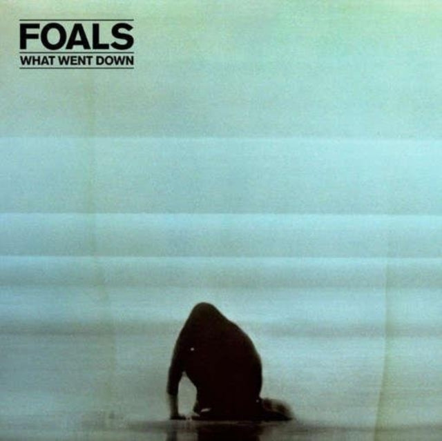 Foals - What Went Down - LP Vinyl Record