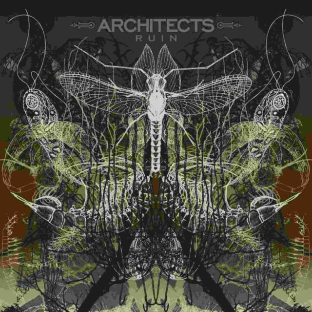 Ruin Reissue Vinyl Record