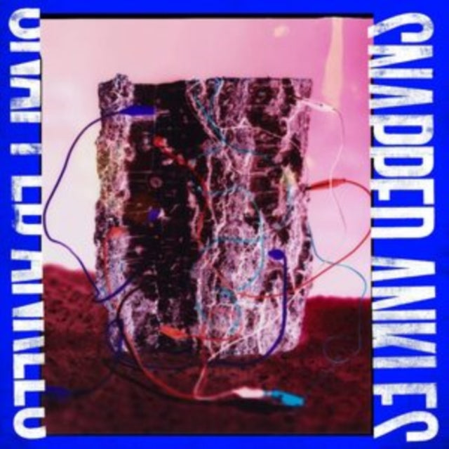 Snapped Ankles - Forest Of Your Problems  Music CD