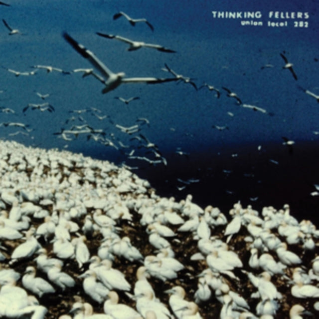Thinking Fellers Union Local 282 - These Things Remain Unassigned (2LP) Vinyl Record