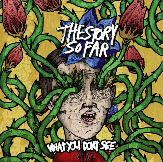 Story So Far - What You Don't See - LP Vinyl Record