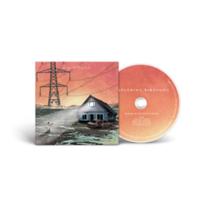 Dancing In The Face Of Danger Music CD