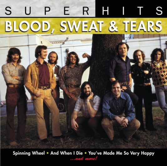 Sweat & Tears Blood - Super Hits Music CD