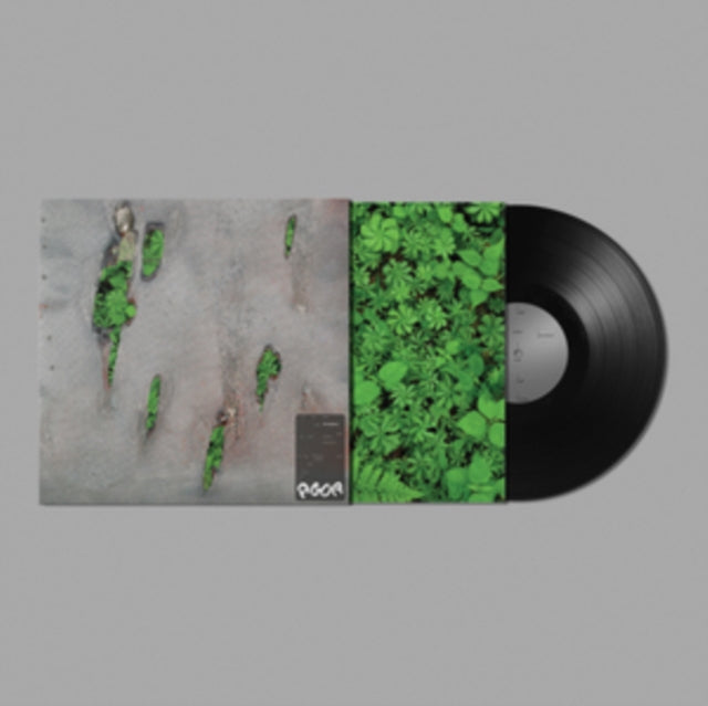 Koreless - Agor - LP Vinyl Record