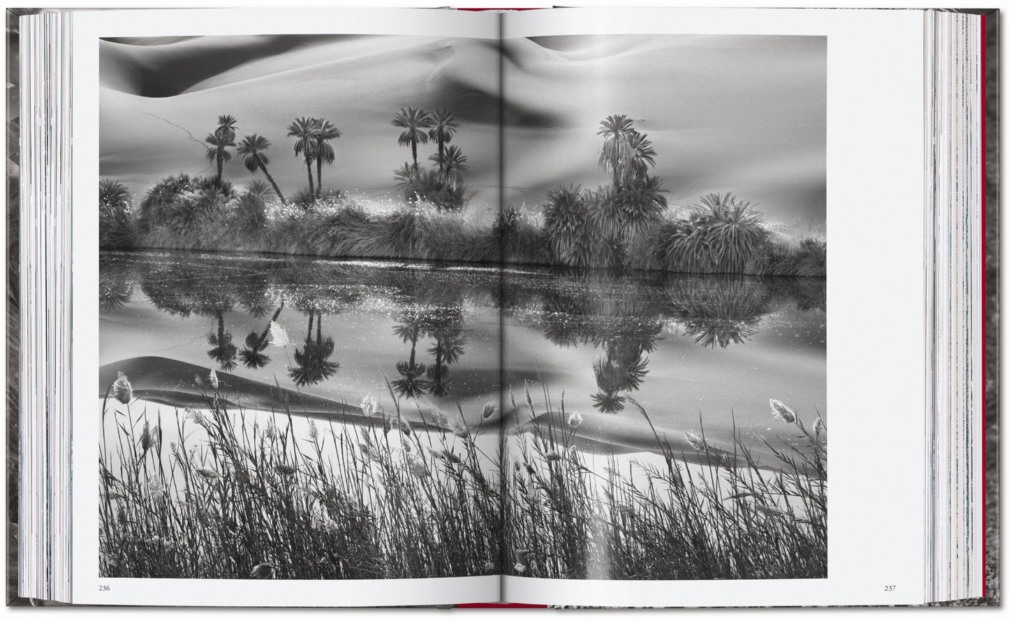 Sebastião Salgado. Genesis. 45th Ed. (English) Book