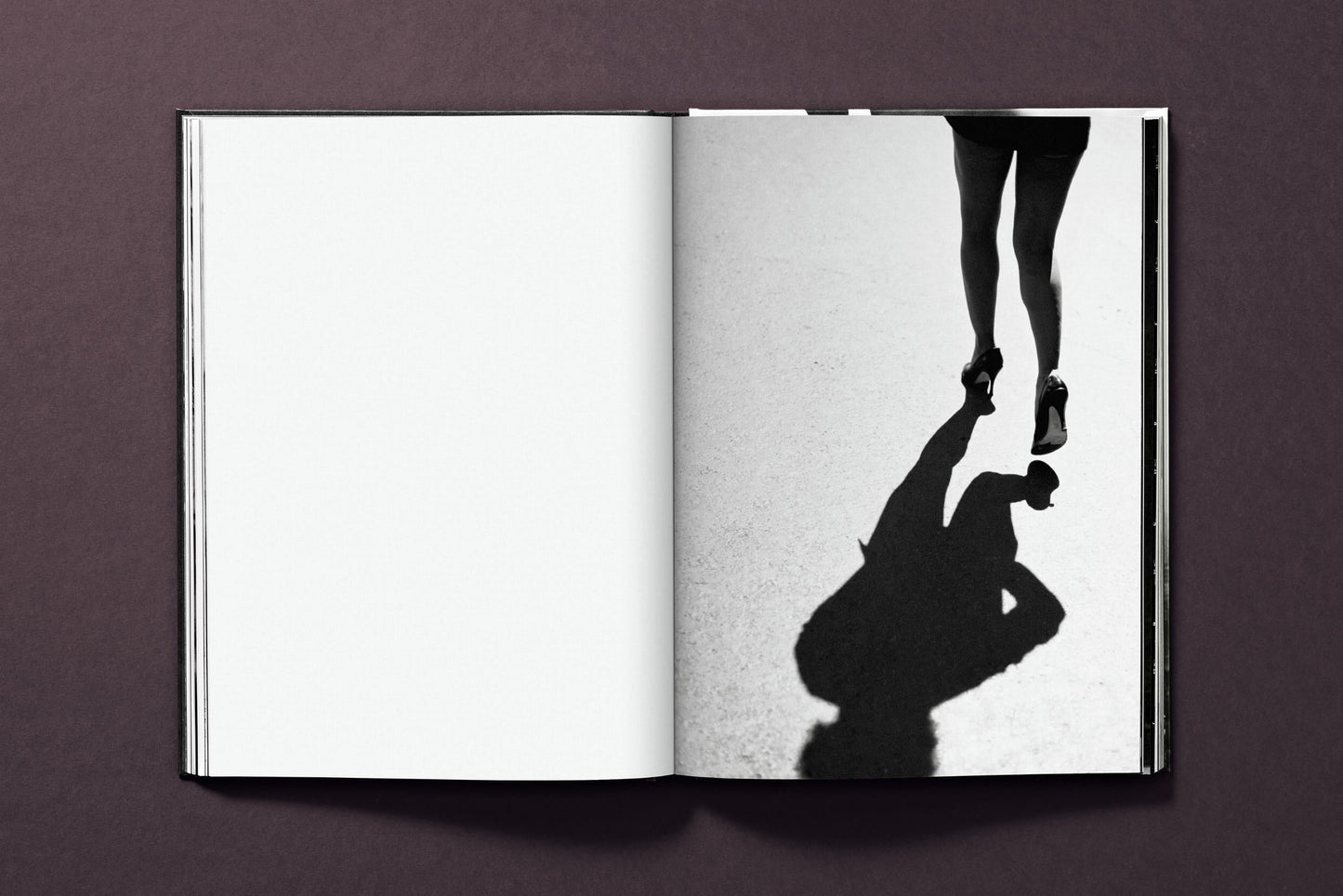 Tina Turner by Peter Lindbergh (German, French, English) Book