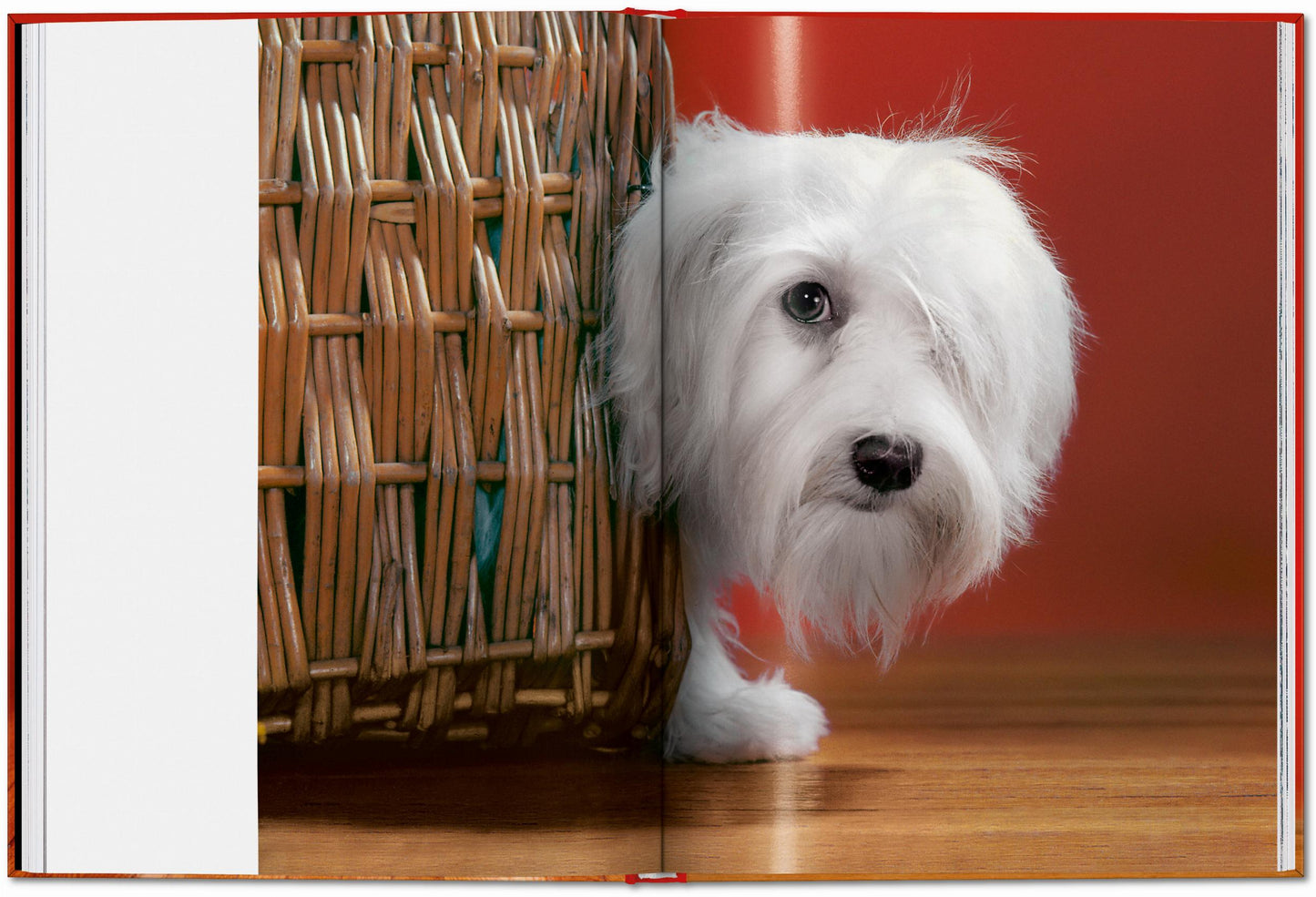 Walter Chandoha. Dogs. Photographs 1941–1991 (English) Book