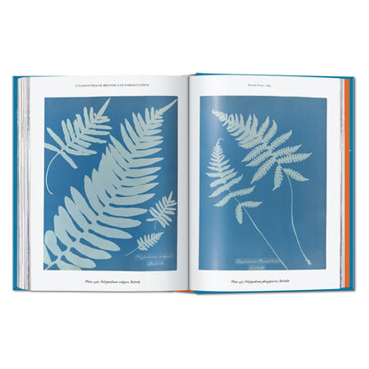 Anna Atkins. Cyanotypes. 45th Ed. (German, French, English) Book