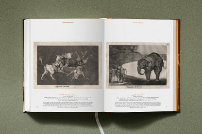 Goya. The Complete Prints (German, French, English) Book