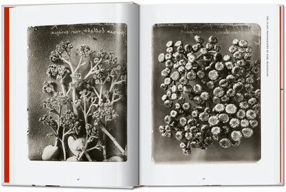Karl Blossfeldt. The Complete Published Work. 45th Ed. (German, French, English) Book