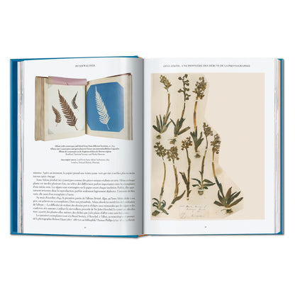 Anna Atkins. Cyanotypes. 45th Ed. (German, French, English) Book