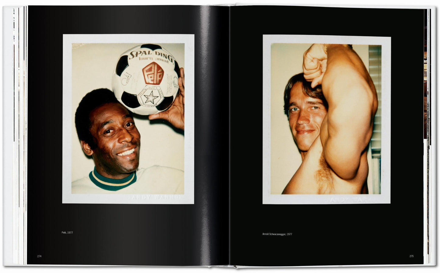 Andy Warhol. Polaroids 1958-1987 (German, French, English) Book