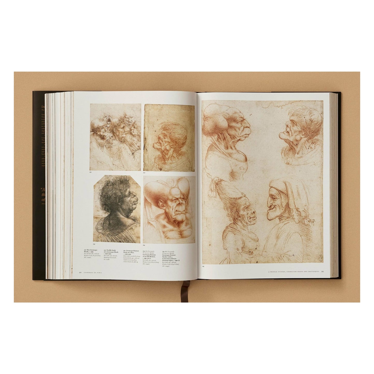 Leonardo. The Complete Paintings and Drawings (English) Book