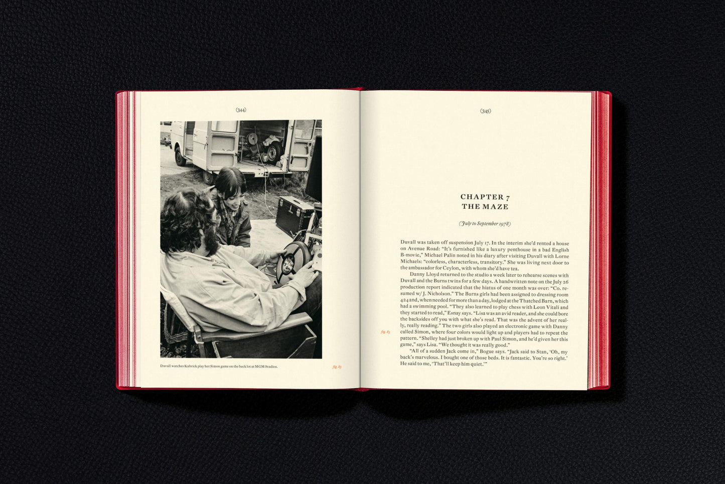 Stanley Kubrick's The Shining (English) Book