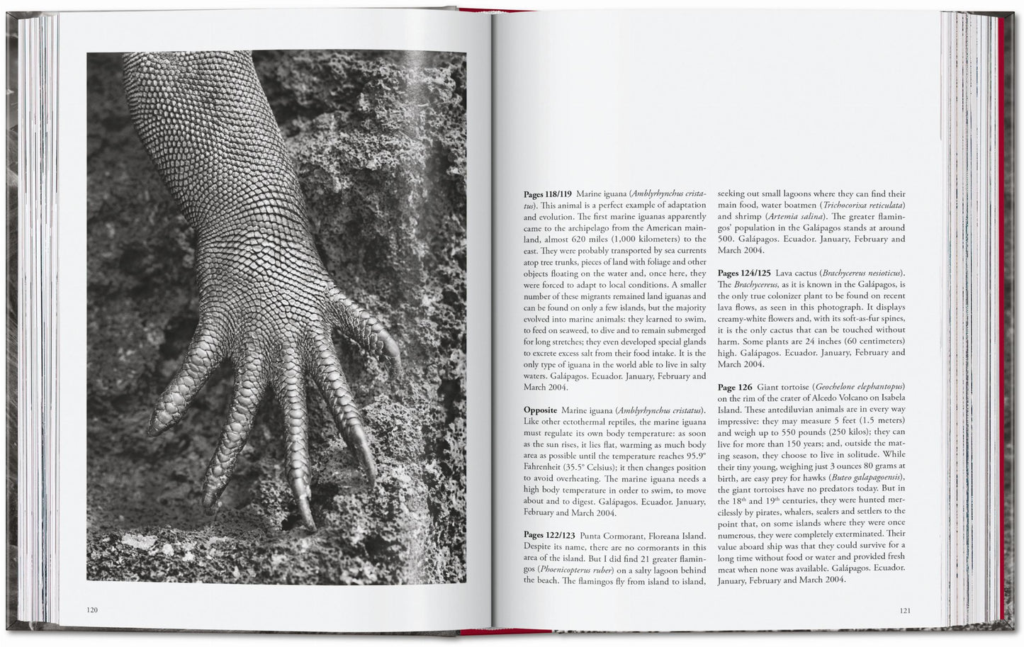 Sebastião Salgado. Genesis. 45th Ed. (English) Book