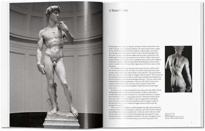 Michelangelo (English) Book