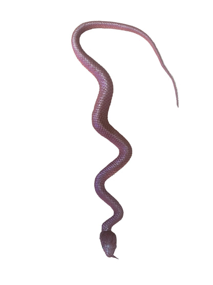 36" Brown Rubber Snake
