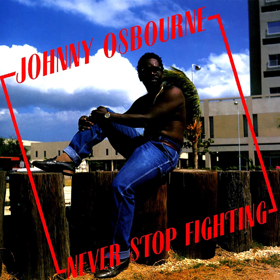 Johnny Osbourne - Never Stop Fighting Vinyl Record