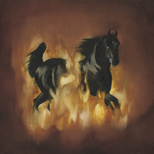 The Besnard Lakes Are The Dark Horse [LP] Vinyl Record