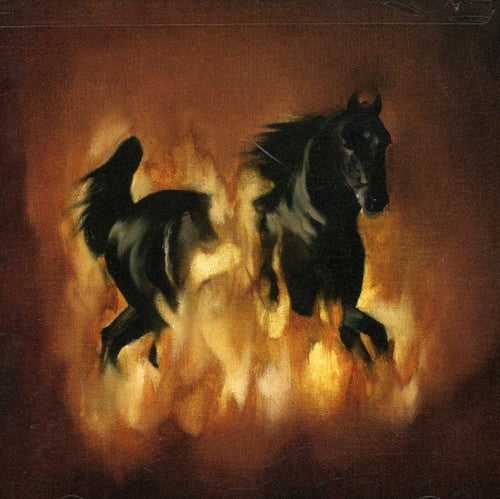 The Besnard Lakes Are The Dark Horse Music CD