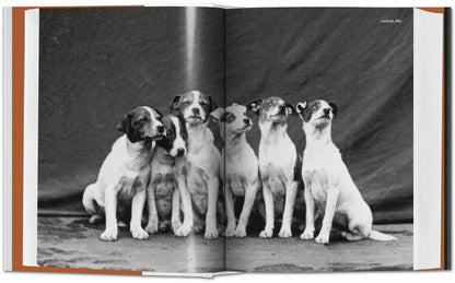 The Dog in Photography 1839–Today (German, French, English) Book