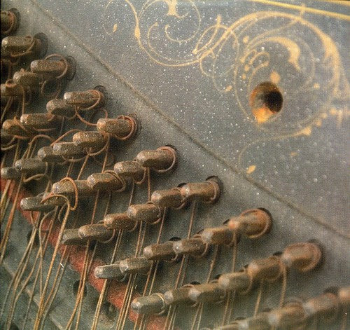 the album cover for Do Make Say Think - You You're a History in Rust