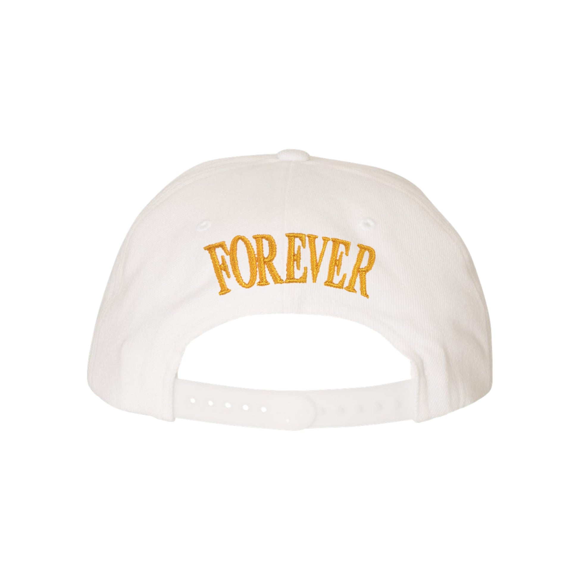 Wu-Tang Clan Wu York Snapback Hat - Multi Color Officially Licensed