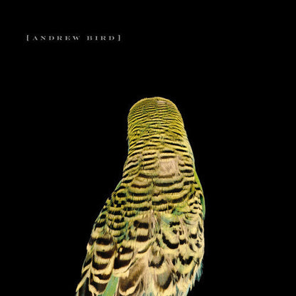 Andrew Bird - Armchair Apocrypha Vinyl Record