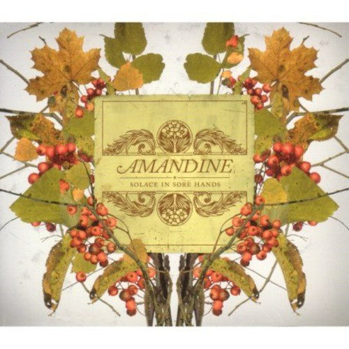 the album cover for Amandine - Solace in Sore Hands