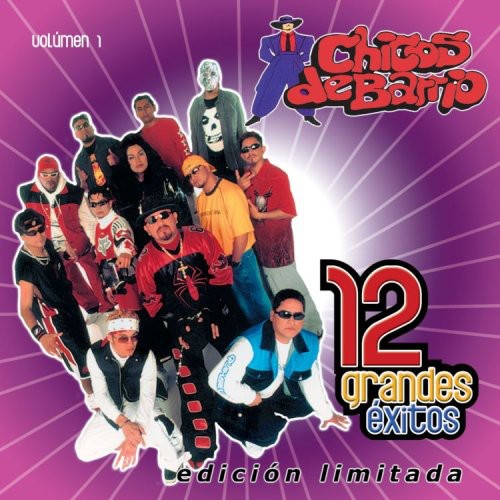 the album cover for Chicos De Barrio - Vol. 1-12 Grandes Exitos