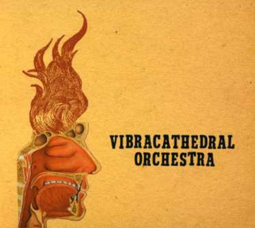 the album cover for Vibracathedral Orchestra - Wisdom Thunderbolt